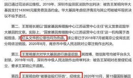 爆料核酸检测完整版视频,完整版视频深度解析