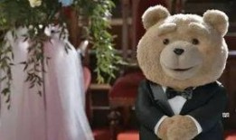 圈内泰迪爆料,揭秘娱乐圈不为人知的幕后故事