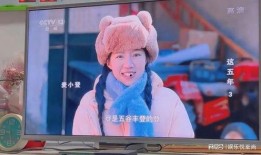 麦小登婚后爆料视频,视频爆料背后的甜蜜与挑战
