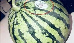 永年网红吃瓜是谁啊,揭秘永年网红吃瓜背后的故事