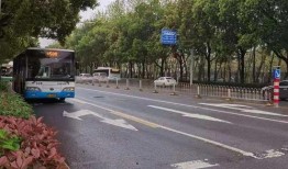 民大某网红吃瓜事件视频,揭秘校园热点背后的真相