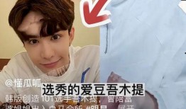 大雁绿姐娱记爆料视频,揭秘娱乐圈幕后真相