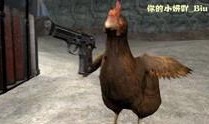 鸡王电影在线观看,在线观看，笑料横生的喜剧盛宴