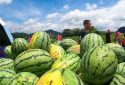 梁山网红景点吃瓜,吃瓜群众的欢乐盛宴