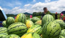梁山网红景点吃瓜,吃瓜群众的欢乐盛宴