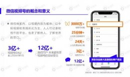 小鱼夫妇爆料视频大全下载,揭秘幕后真相，带你走进他们的世界