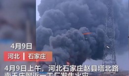 沈阳爆料媒体曝光视频,媒体曝光视频揭露惊人内幕