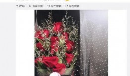 玫瑰恋情爆料热歌视频,热歌视频背后的浪漫故事