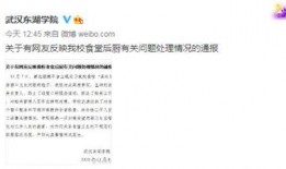 武汉爆料视频,真实疫情下的城市生活
