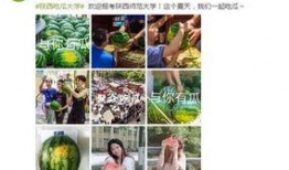在线免费吃瓜学生,在线学生专属的轻松时光