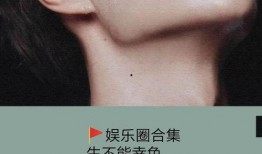 推文小说娱乐圈爆料免费阅读,免费阅读，揭秘明星幕后故事