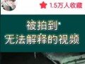 奇闻爆料解说大全视频,解说大全视频中的神秘世界