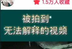 奇闻爆料解说大全视频,解说大全视频中的神秘世界