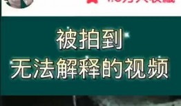 奇闻爆料解说大全视频,解说大全视频中的神秘世界