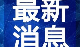 黑猫网红爆料视频大全最新,揭秘网络红人幕后真相
