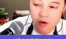 演员刘一飞爆料视频在线观看,揭秘娱乐圈幕后故事