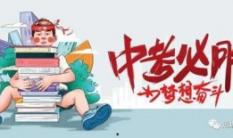 海归综艺爆料最新消息,揭秘明星留学背后的故事与心酸