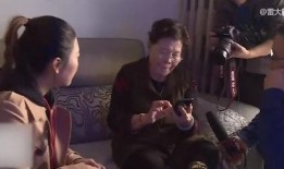 在线观看寻情记,穿越时空的浪漫邂逅