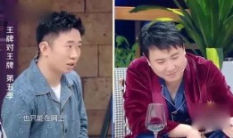 媒体爆料杨迪视频大全集,揭秘明星背后的搞笑人生