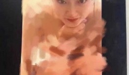 老廖前妻爆料完整视频大全,揭秘婚姻背后的真相