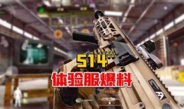 体验服最新爆料暗区突围,体验服新爆料揭秘未来战场新格局