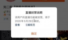 kk大神最新爆料,最新爆料背后的惊人真相