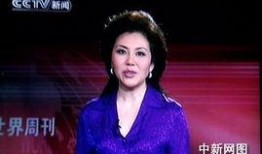 如何爆料央视新闻主持人,真实与想象的碰撞