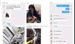 营销号爆料陈坤视频大全