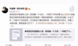 卓伟爆料娱乐圈过年小说,娱乐圈过年风云录