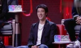 王力宏五个爆料是谁啊视频,揭秘王力宏“五个爆料”背后的神秘人物