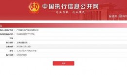 富力地产爆料最新消息新闻,揭秘公司动态与市场走向