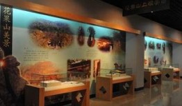 连云港博物馆爆料视频大全,视频大全带你穿越历史长河