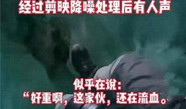 海南最新事件爆料视频完整版,揭秘背后真相与争议