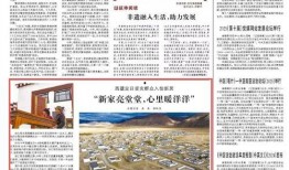 西藏近期爆料新闻报道最新,揭秘神秘高原的变迁与挑战