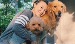 狗崽爆料气质女星视频,气质女星视频引发热议，神秘面纱揭开一角