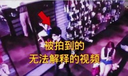 奇闻爆料解说大全视频,解说大全视频中的神秘世界