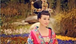 张庭节目爆料视频大全集,揭秘娱乐圈不为人知的秘密与真相